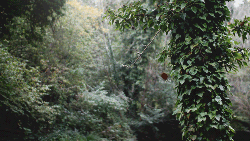 gif动画 | 他用 cinemagraphs技术把日子定格成画