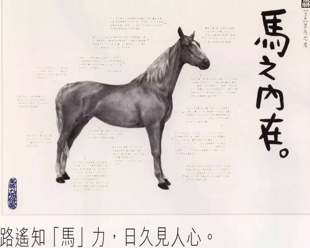 马之内在