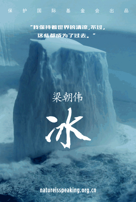 保护国际基金会:又有三位明星献声 #大自然在