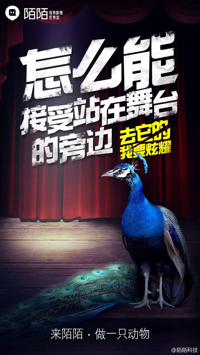 做一只动物 陌陌 2016 年品牌广告 - 数英