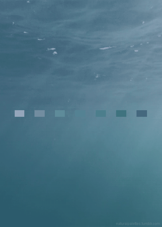 见过会动的配色吗这些gif将大自然的色彩尽收眼底美到窒息