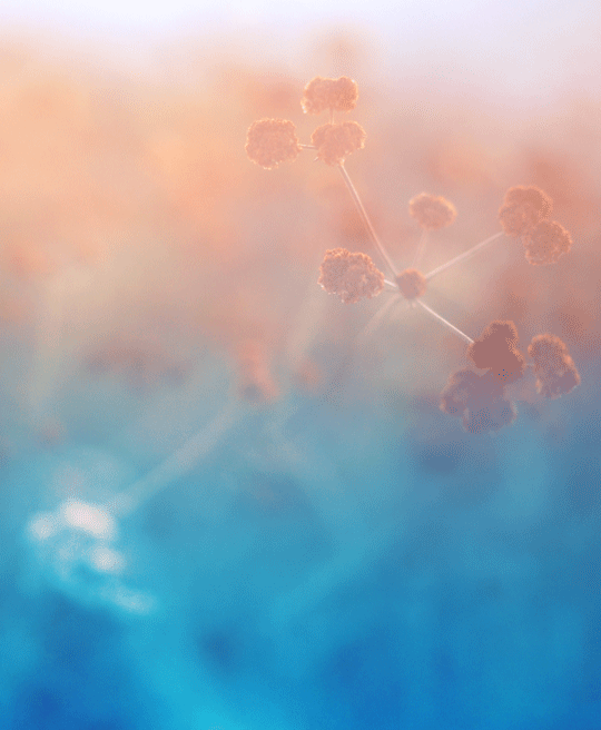 看完这些gif,才发现别人眼里的世界是如此诗意!