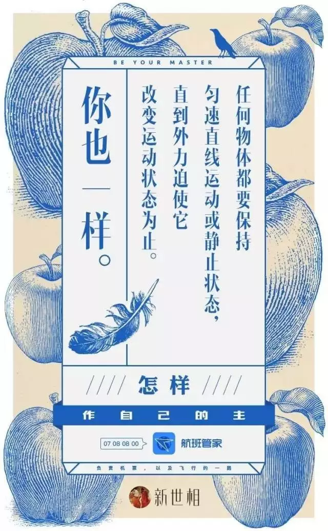 秋爽们的存在,是文案们坚持做文案的理由