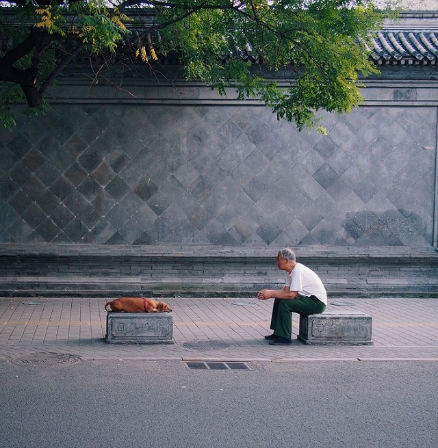 老人与狗 老人与狗