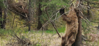 318_149gif 动态图 动图