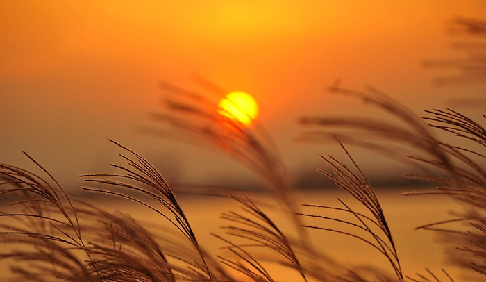 大数据产业成为内蒙古产业转型升级新引擎_网吧夕阳产业_国家高新技术产业开发区 高新技术产业