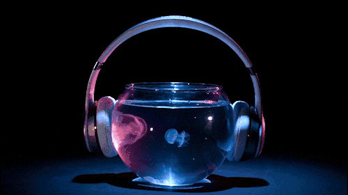 天猫× beats:你见过会跳舞的水母吗?