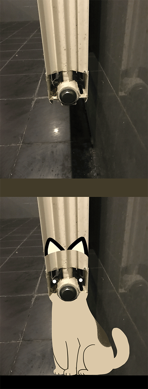 厕所里发现了他