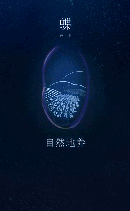 古有庄周梦蝶 今有蝶韵酒酿