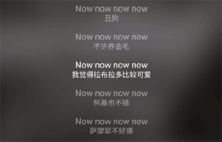 翻译我只服网易云音乐,根本没法好好听歌