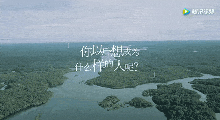 花儿与少年 花儿与少年