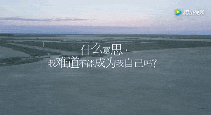 花儿与少年 花儿与少年