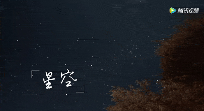 花儿与少年 花儿与少年
