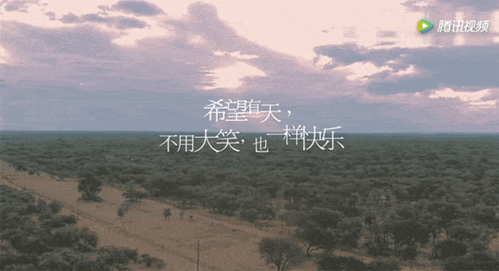 花儿与少年 花儿与少年