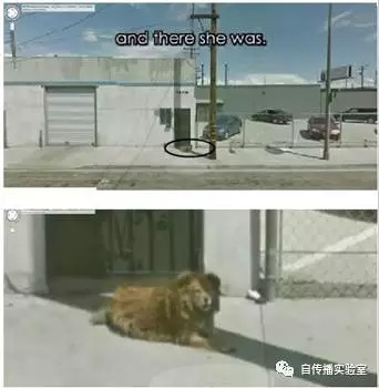 为什么好广告都“不像广告”,甚至“不是广告”? 为什么好广告都“不像广告”,甚至“不是广告”?