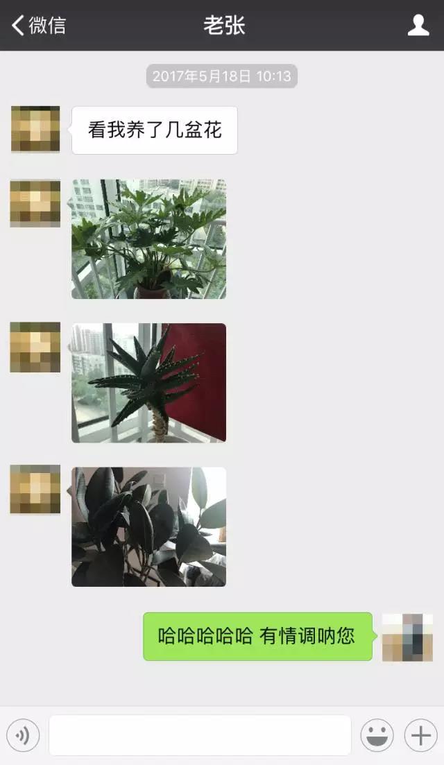 微信三千人真实截图,微信4000好友数量截图 20张网友和爸爸尬聊的微信截图