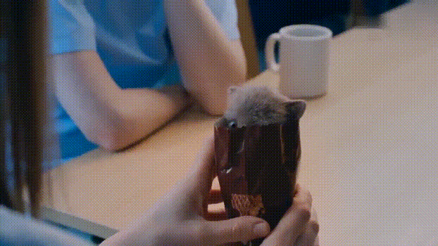 躲在mcvities 饼干袋里的小动物,誓要萌化你的心