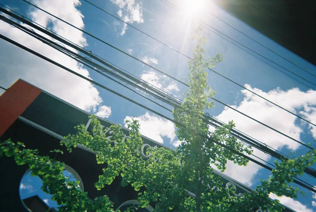 除了热血青春的棒球赛,日本高中生的夏天还有胶片写真"甲子园"