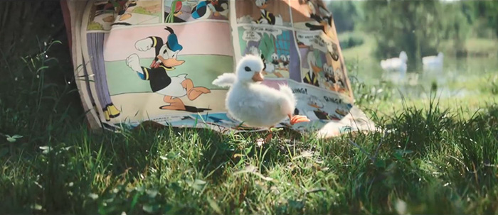 法国迪士尼乐园今天我们讲一个小鸭子的故事