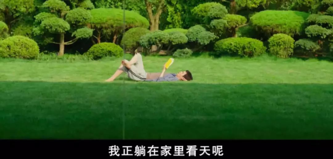 拿奖到手软的寄生虫光海报都嚼劲十足