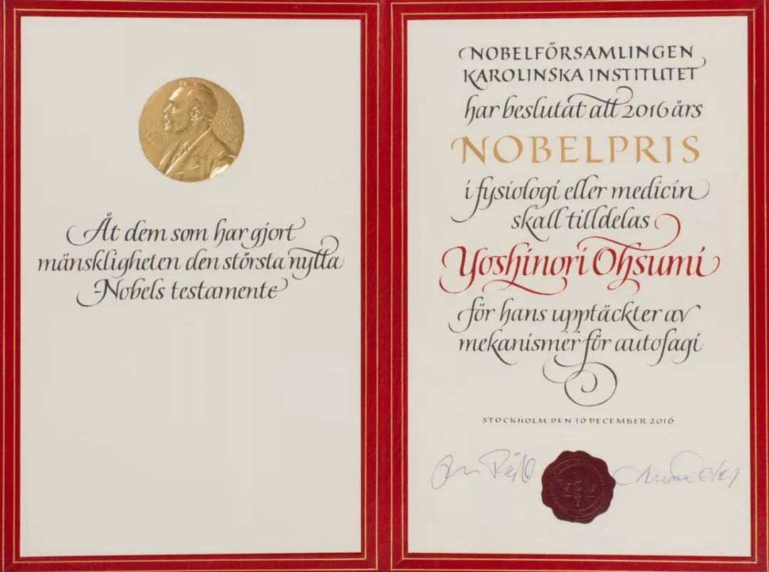 karolinska研究所的诺贝尔大会 负责生理学或医学证书 在1901年至1964