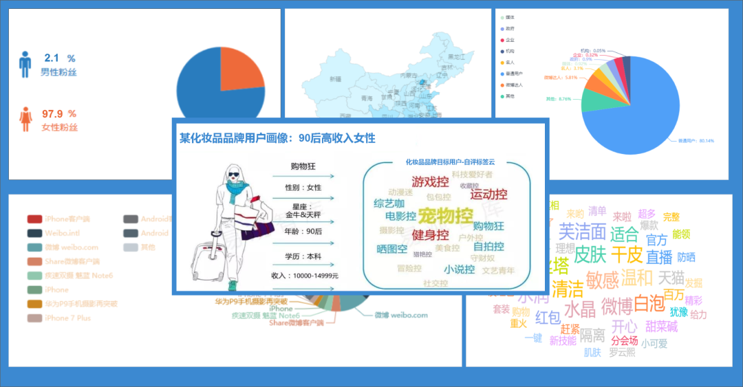 用户画像, 消费者核心购买因子和 客户全触点旅程分析,为品牌方提供了