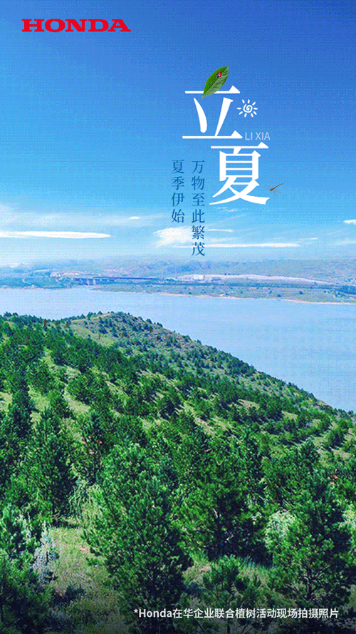 立夏海报合集,你好夏天!