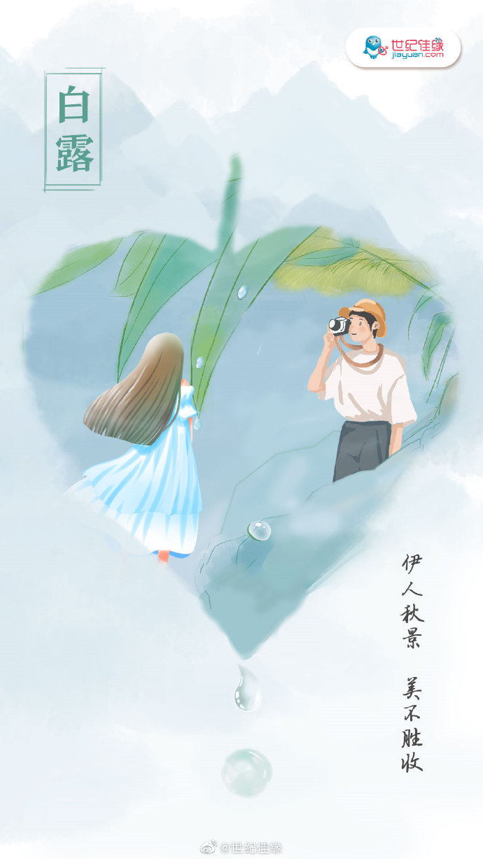 白露海报合集,品牌们提醒你降温啦!
