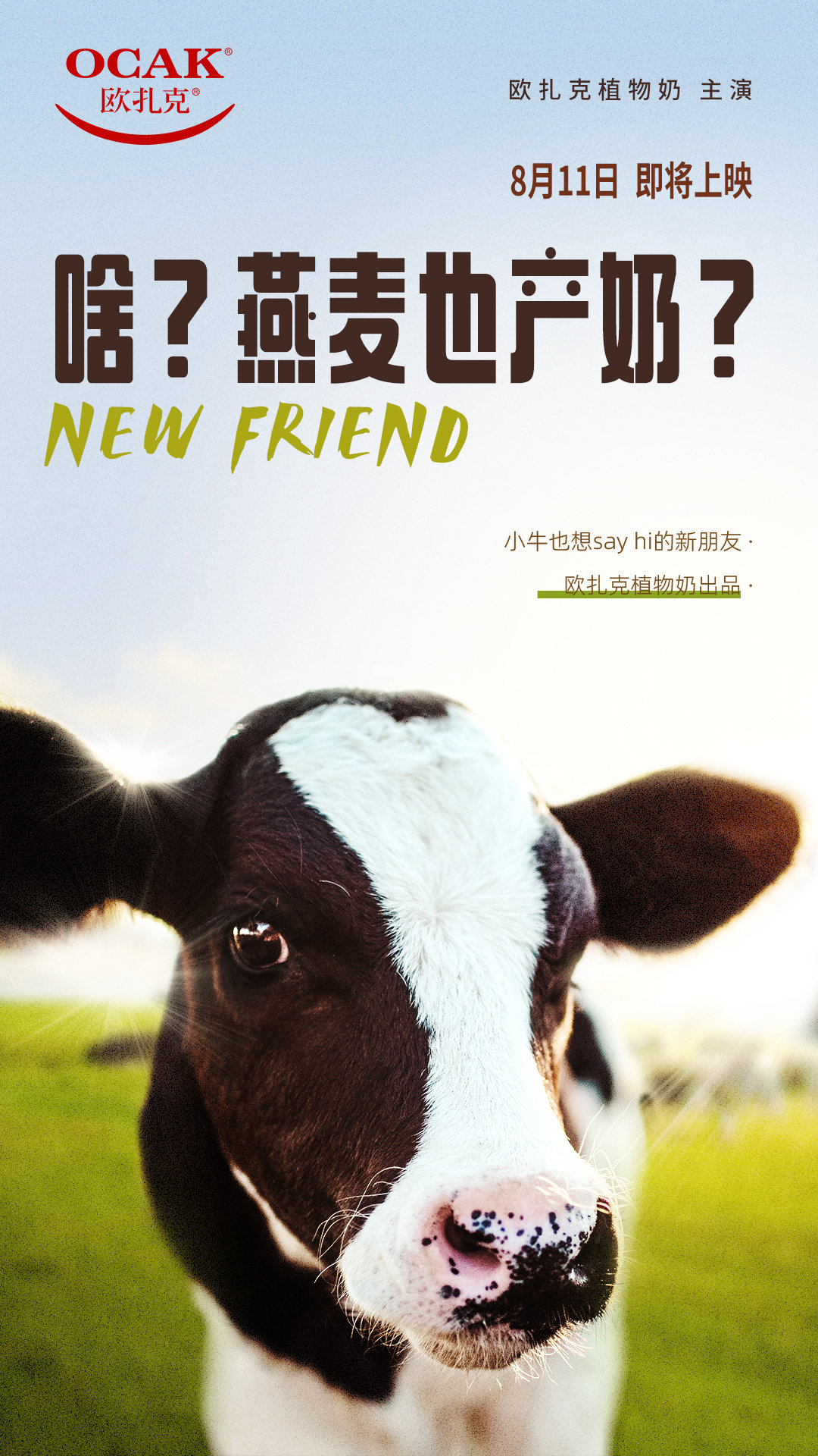 欧扎克洗脑广告燕麦也产奶