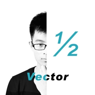 Vector 