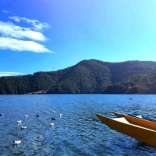 四爷要做活神仙