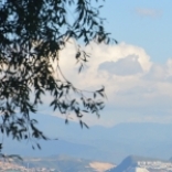 貓<em>超人</em>miao