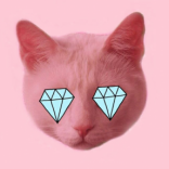 Shining <em>Pink</em>