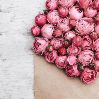 sophie-人-数字媒体及职业招聘网站-数英网