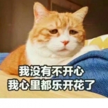 不爱写稿