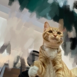lili