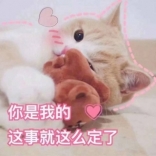 杀死一只猪