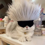 縹倡范吳<em>干部</em>