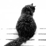 手拿<em>豆包</em>啃沙包