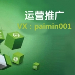 VX;paimin001