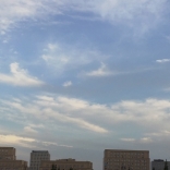<em>boss</em>?