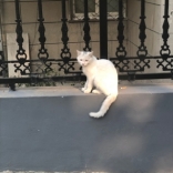 一丟