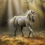 <em>MCN</em>獨(dú)角獸
