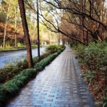 <em>努力</em>的阿佳