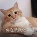 <em>卡卡</em>
