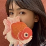 南印<em>cc</em>