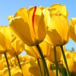 實事<em>聚焦</em>