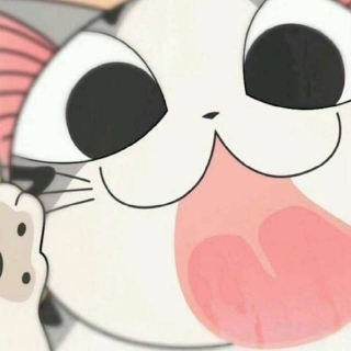 橙橙（正方形版本）