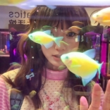 懶洋洋<em>出海</em>