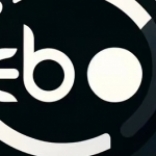 有效<em>品牌</em>官EBO